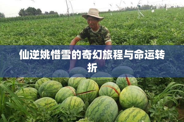 仙逆姚惜雪的奇幻旅程与命运转折