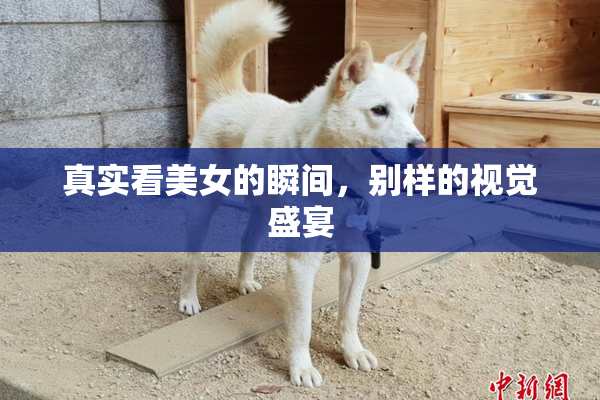真实看美女的瞬间，别样的视觉盛宴