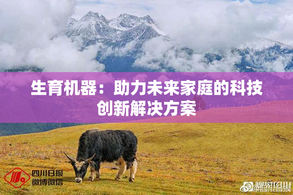 生育机器：助力未来家庭的科技创新解决方案