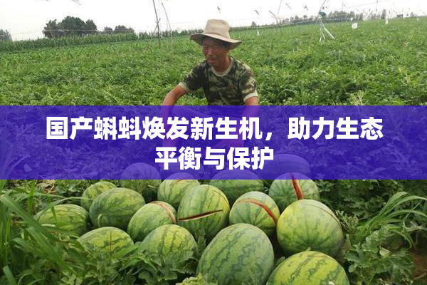 国产蝌蚪焕发新生机，助力生态平衡与保护