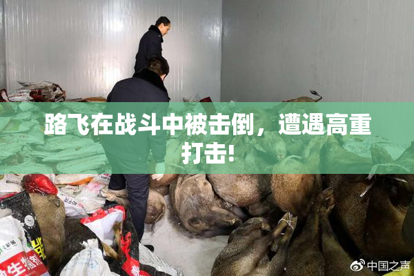 路飞在战斗中被击倒，遭遇高重打击!