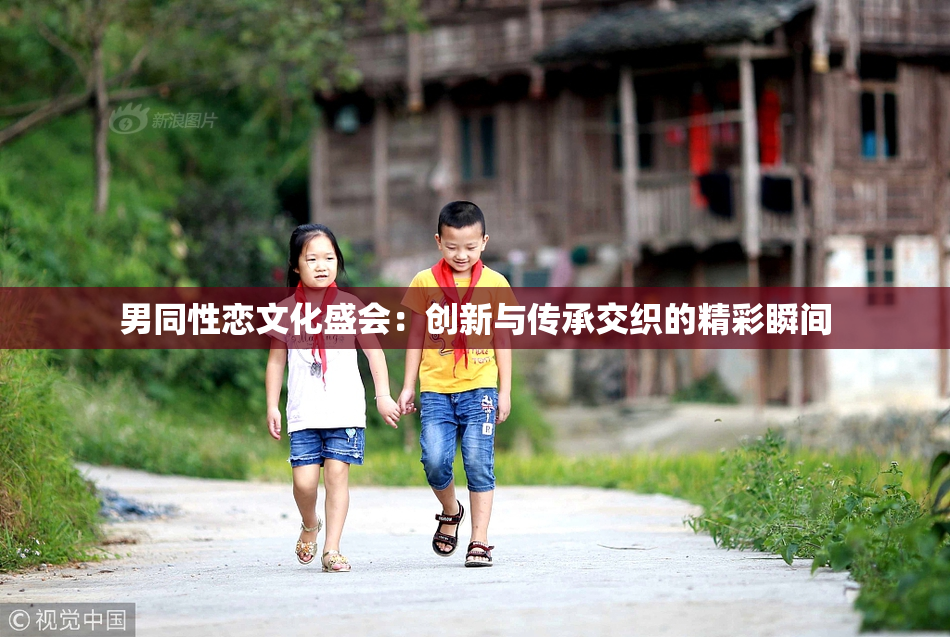 男同性恋文化盛会：创新与传承交织的精彩瞬间
