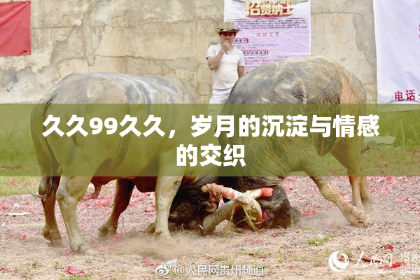 久久99久久，岁月的沉淀与情感的交织