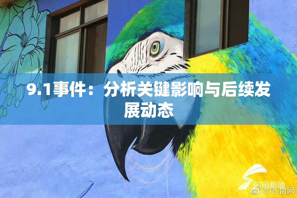 9.1事件：分析关键影响与后续发展动态