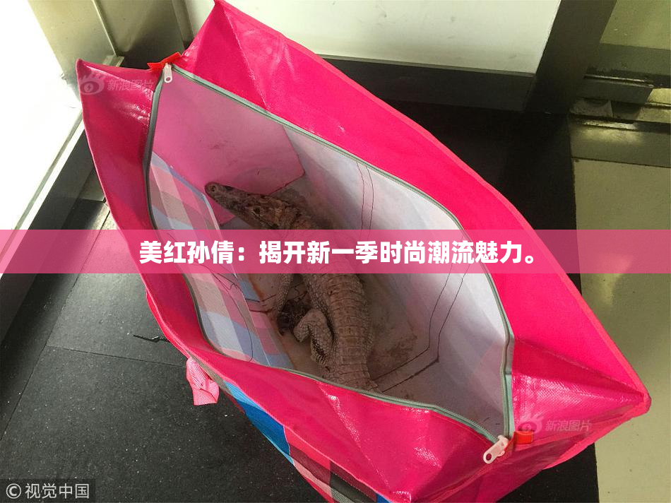 美红孙倩：揭开新一季时尚潮流魅力。