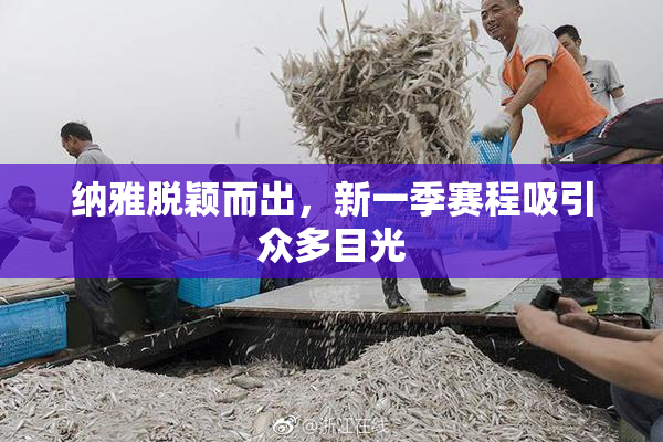 纳雅脱颖而出，新一季赛程吸引众多目光