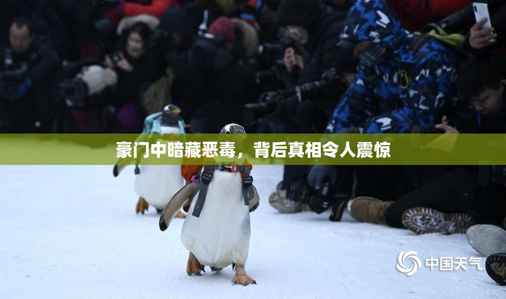 豪门中暗藏恶毒，背后真相令人震惊
