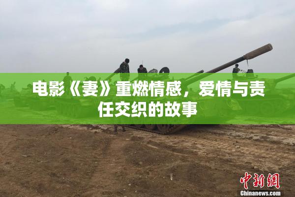 电影《妻》重燃情感，爱情与责任交织的故事