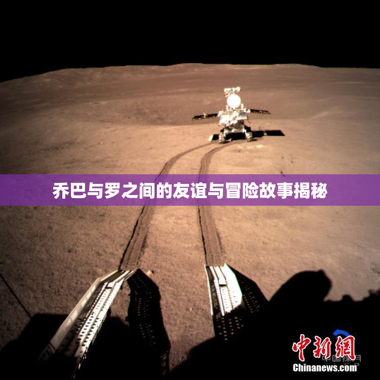 乔巴与罗之间的友谊与冒险故事揭秘