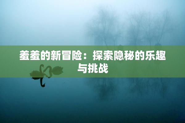 羞羞的新冒险：探索隐秘的乐趣与挑战