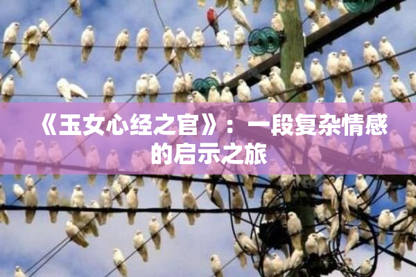《玉女心经之官》：一段复杂情感的启示之旅