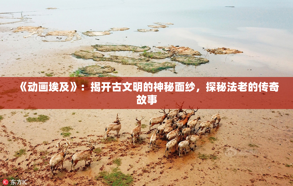 《动画埃及》：揭开古文明的神秘面纱，探秘法老的传奇故事