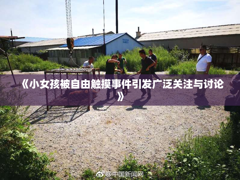 《小女孩被自由触摸事件引发广泛关注与讨论》
