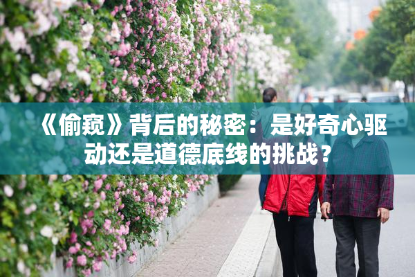 《偷窥》背后的秘密：是好奇心驱动还是道德底线的挑战？