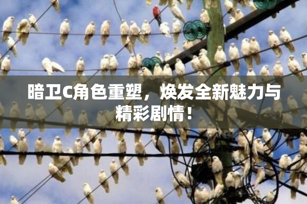 暗卫C角色重塑，焕发全新魅力与精彩剧情！