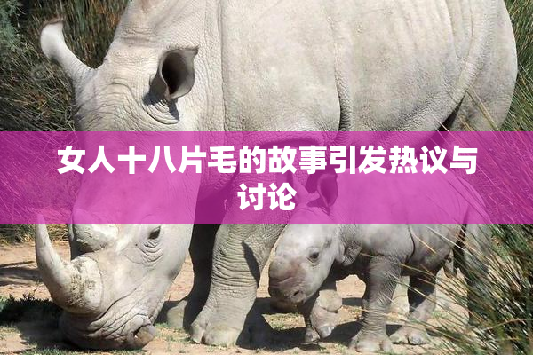 女人十八片毛的故事引发热议与讨论