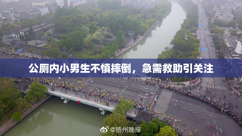 公厕内小男生不慎摔倒，急需救助引关注