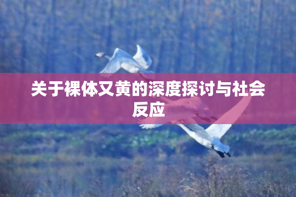 关于裸体又黄的深度探讨与社会反应