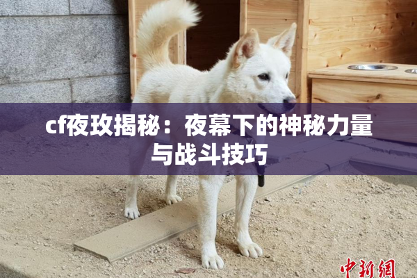 cf夜玫揭秘：夜幕下的神秘力量与战斗技巧
