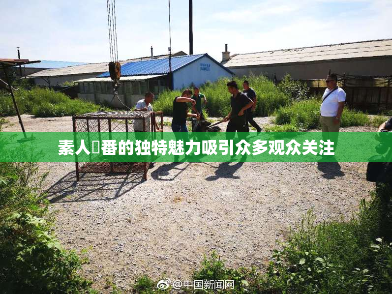 素人蘭番的独特魅力吸引众多观众关注