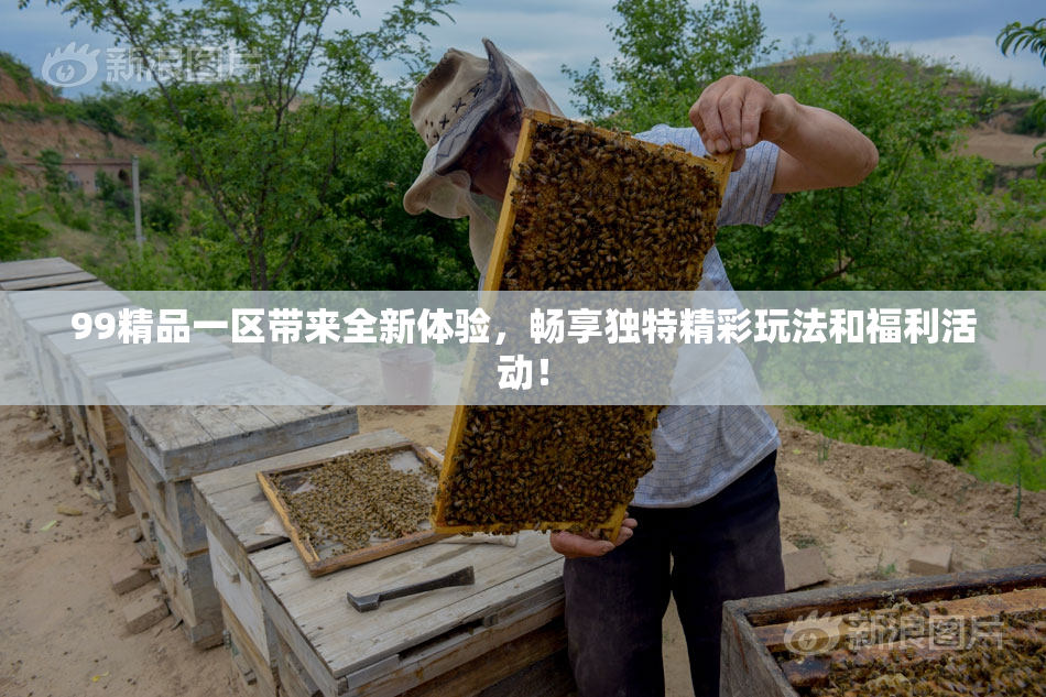 99精品一区带来全新体验，畅享独特精彩玩法和福利活动！