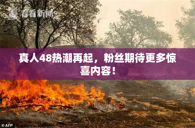 真人48热潮再起，粉丝期待更多惊喜内容！