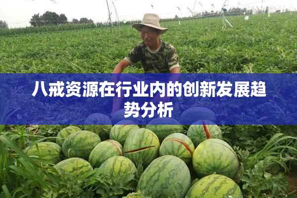 八戒资源在行业内的创新发展趋势分析