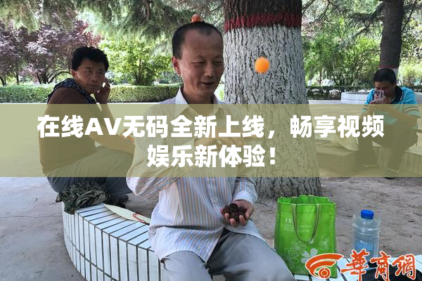 在线AV无码全新上线，畅享视频娱乐新体验！