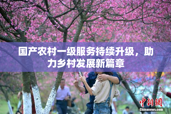 国产农村一级服务持续升级，助力乡村发展新篇章