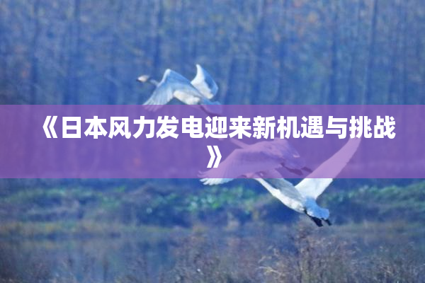 《日本风力发电迎来新机遇与挑战》