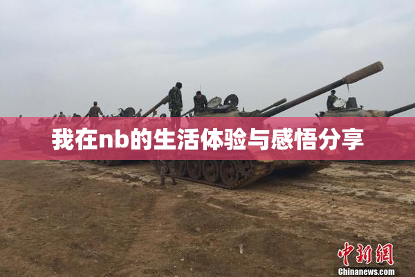 我在nb的生活体验与感悟分享