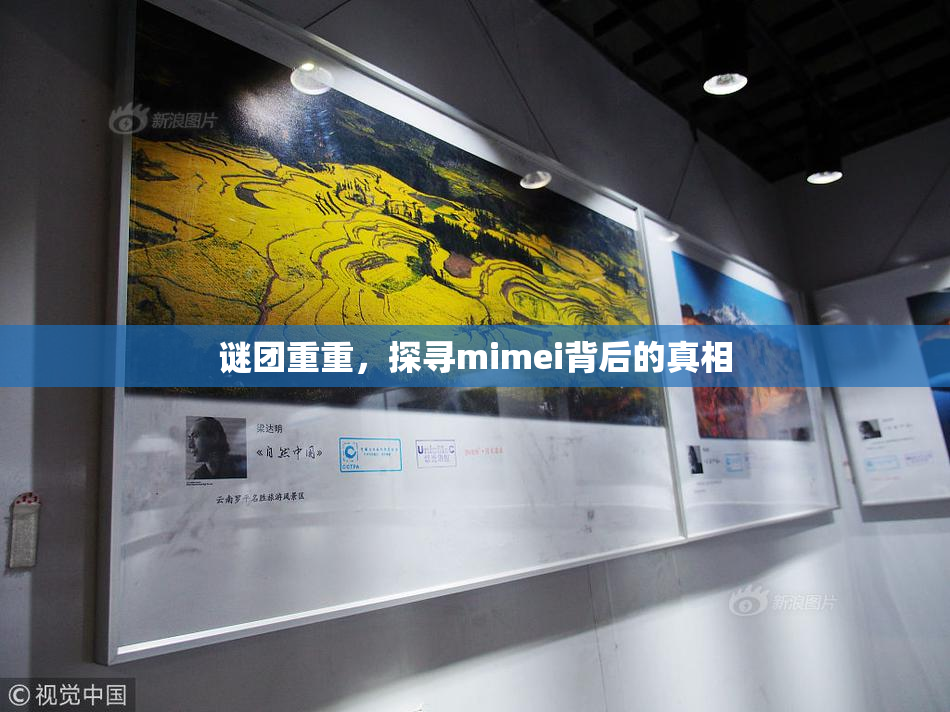 谜团重重，探寻mimei背后的真相