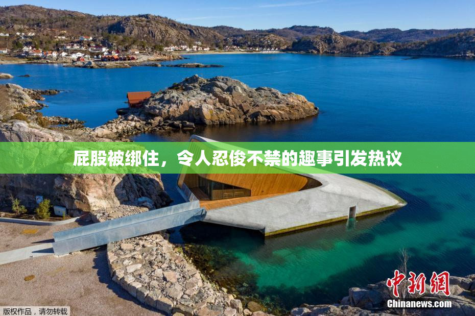 屁股被绑住，令人忍俊不禁的趣事引发热议