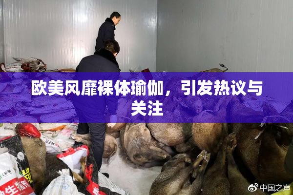 欧美风靡裸体瑜伽，引发热议与关注