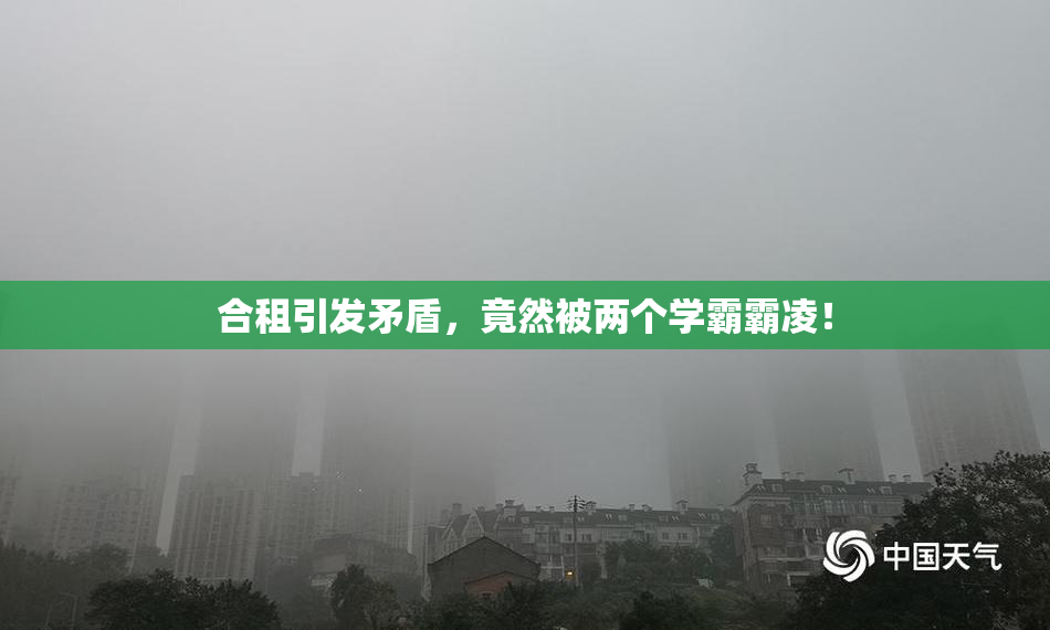 合租引发矛盾，竟然被两个学霸霸凌！