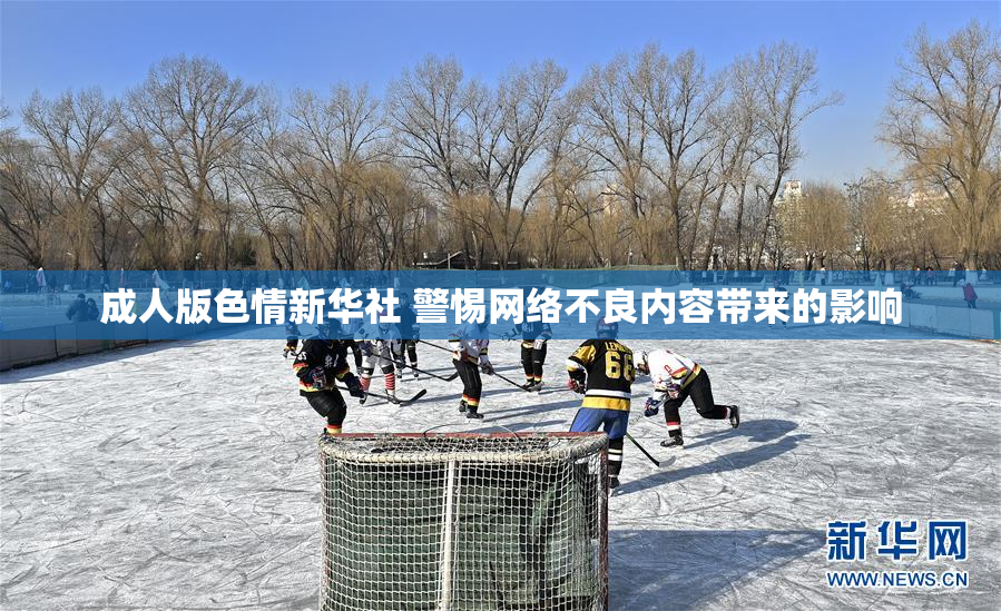 成人版色情新华社 警惕网络不良内容带来的影响
