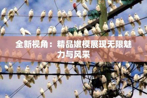 全新视角：精品嫩模展现无限魅力与风采