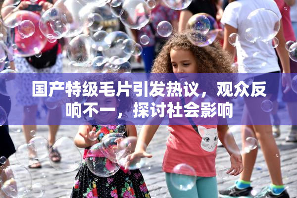 国产特级毛片引发热议，观众反响不一，探讨社会影响