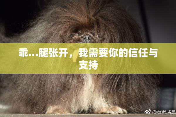 乖…腿张开，我需要你的信任与支持
