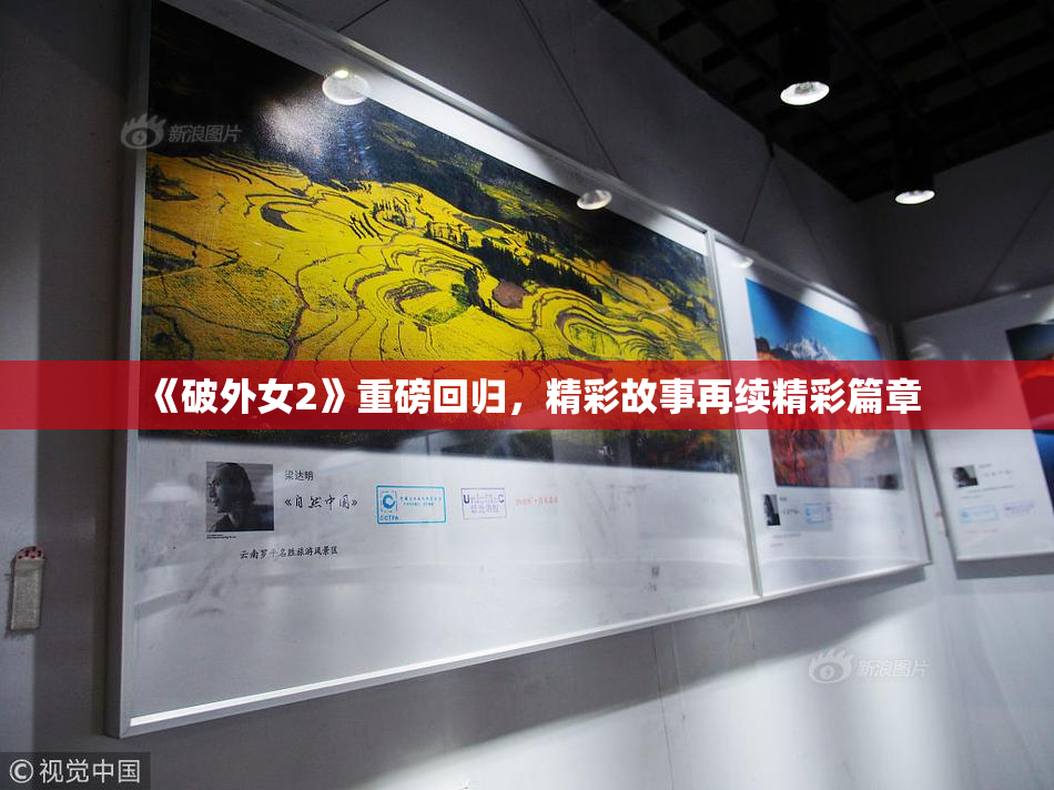《破外女2》重磅回归，精彩故事再续精彩篇章