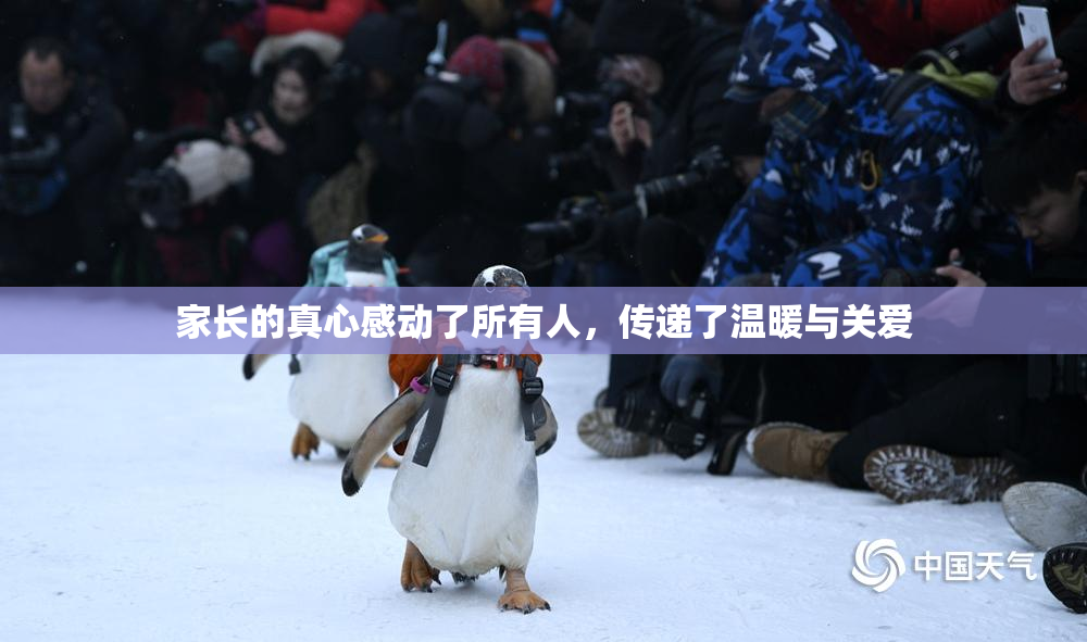 家长的真心感动了所有人，传递了温暖与关爱