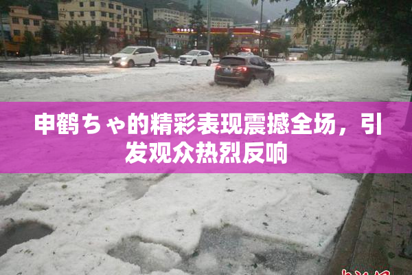 申鹤ちゃ的精彩表现震撼全场，引发观众热烈反响
