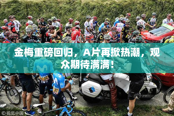 金梅重磅回归，A片再掀热潮，观众期待满满！
