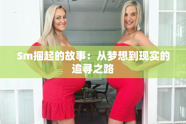 Sm捆起的故事：从梦想到现实的追寻之路