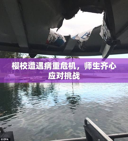 樱校遭遇病重危机，师生齐心应对挑战
