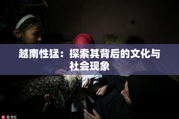 越南性猛：探索其背后的文化与社会现象