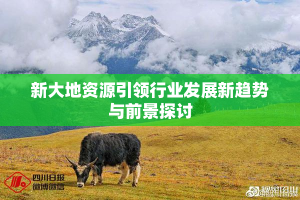 新大地资源引领行业发展新趋势与前景探讨