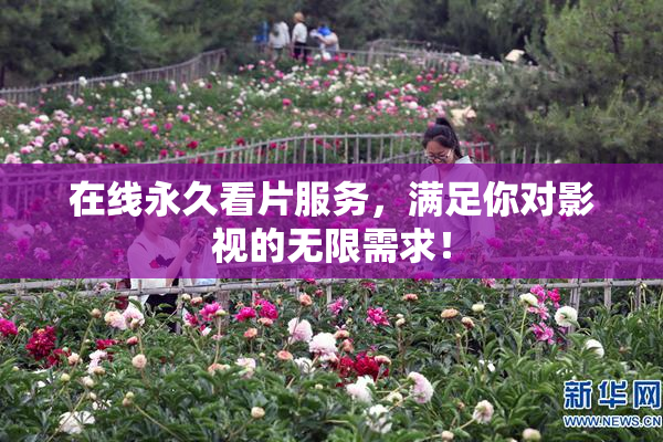 在线永久看片服务，满足你对影视的无限需求！