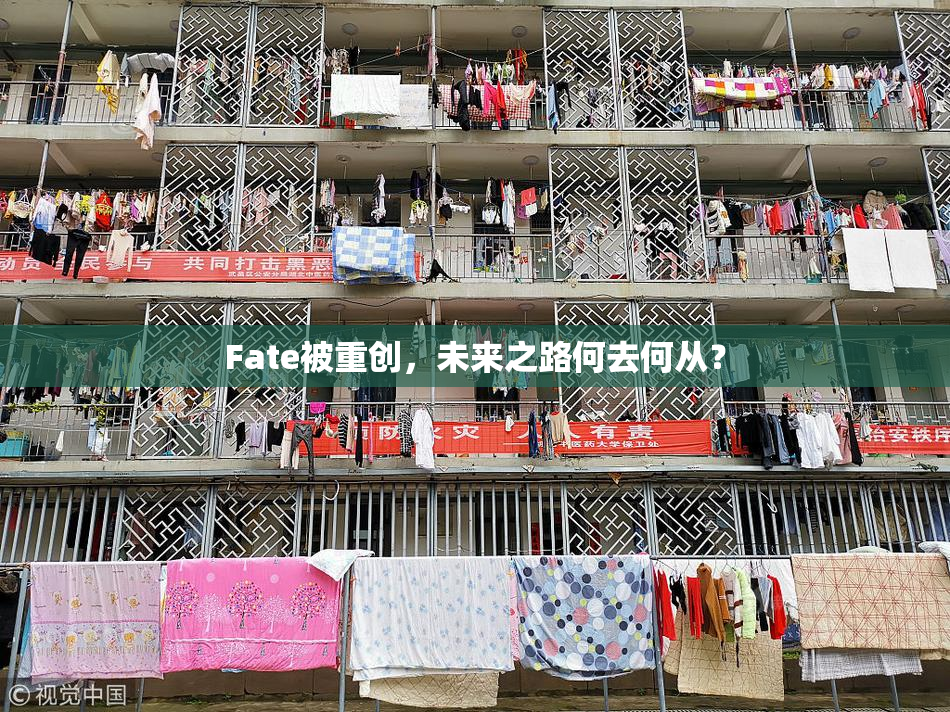 Fate被重创，未来之路何去何从？