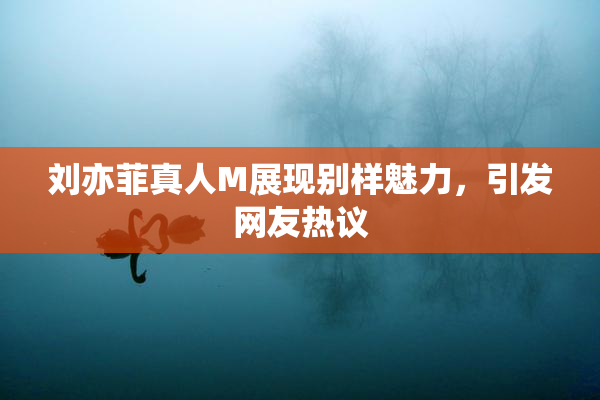 刘亦菲真人M展现别样魅力，引发网友热议
